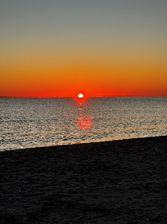 la Poesia è più necessaria che mai